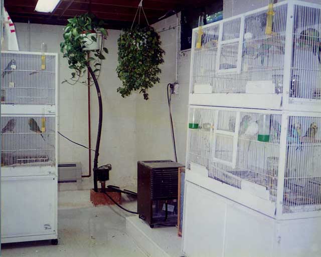 Stock Cages