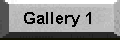 Gallery 1