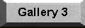 Gallery 3