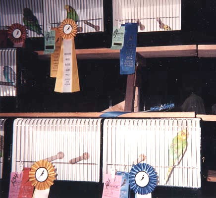 Staten Island 1996 - Best Novice