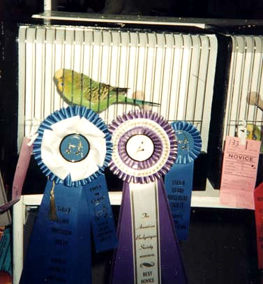 Staten Island 1996 - Best Novice