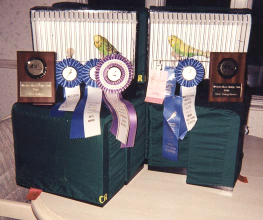 Western Mass 1996 - Best Novice